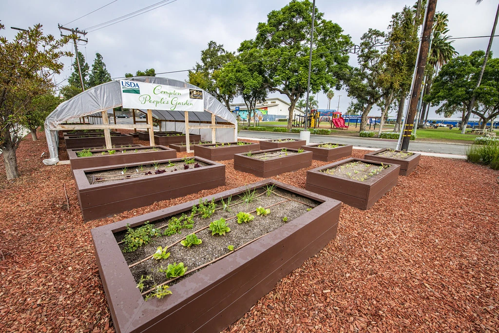 Raised vegetable beds and a greenhouse at the People’s Garden in Compton, with trees and a neighborhood park behind them.